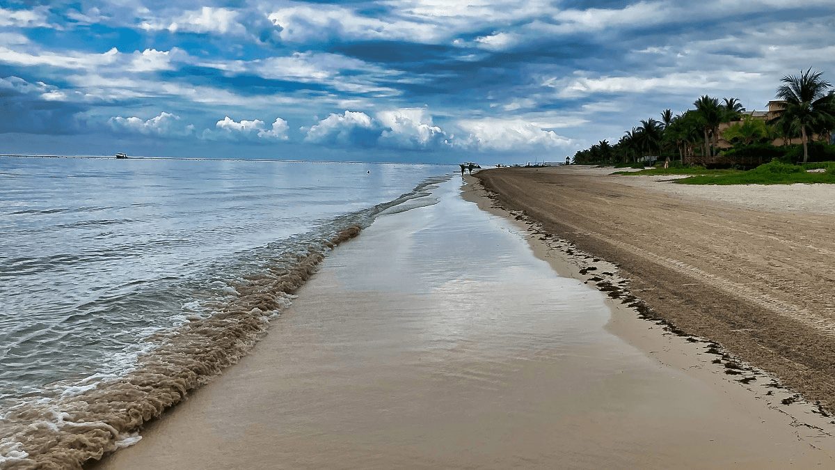 The Seaweed Stops Here: How Puerto Morelos Is Winning the Sargassum Battle