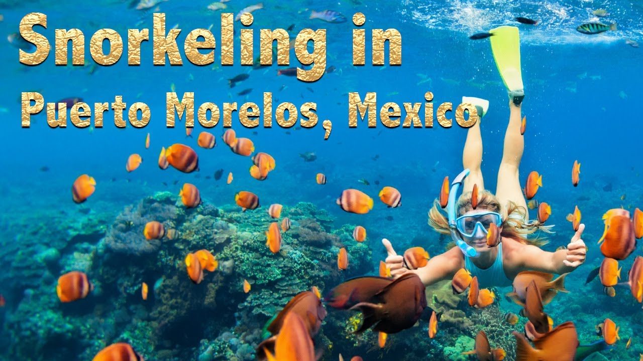 💃 Live Music, Jungle Retreats & More