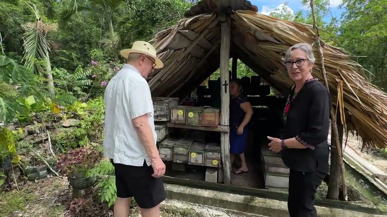 Live Jazz, Stingless Bees & Coffee Vibes in Puerto Morelos