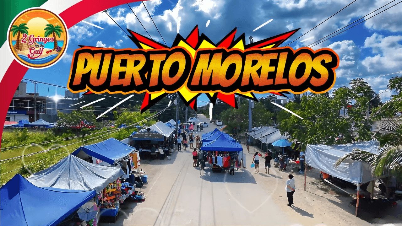 This Week (Feb 20 - 26)